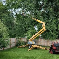 Best Tree Health Inspection  in Garden Acres, CA