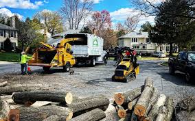Best Tree Maintenance Programs  in Garden Acres, CA