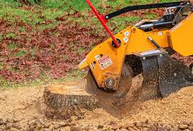 Best Lawn Disease Treatment  in Garden Acres, CA